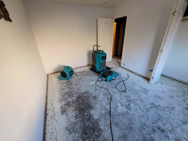 Best Mold removal after water damage  in Glade Spring, VA