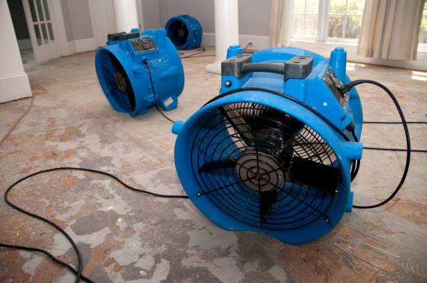 Best 24/7 water damage repair  in Glade Spring, VA