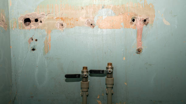 Best Flooded house restoration  in Glade Spring, VA