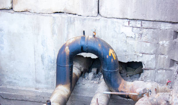 Best Flood damage cleanup  in Glade Spring, VA