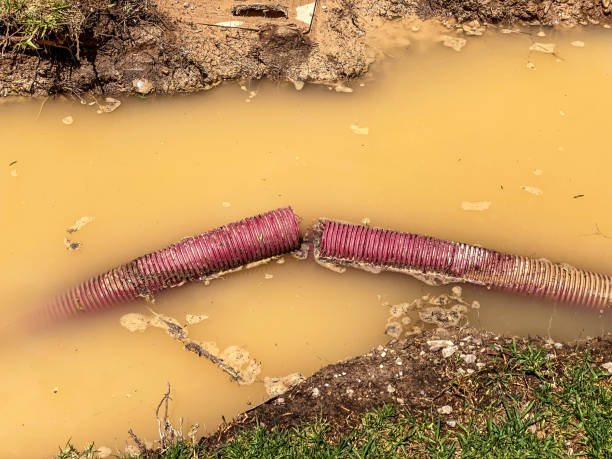 Best Water damage restoration services  in Glade Spring, VA