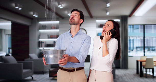 Best Local water damage restoration  in Glade Spring, VA